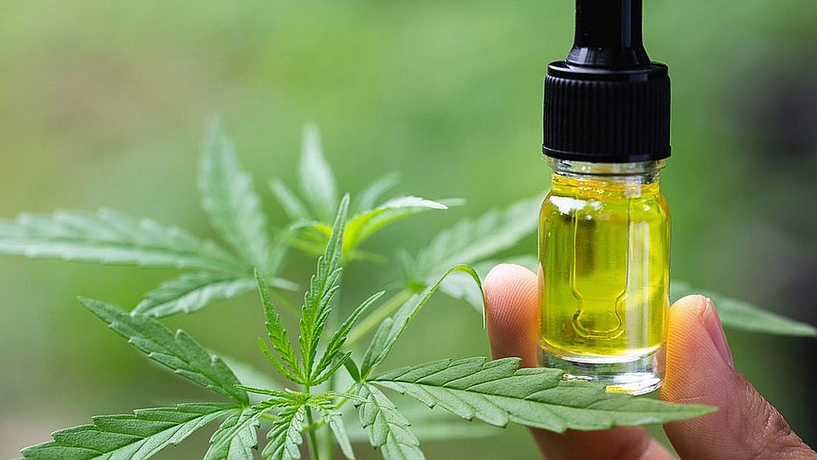 CBD oil, hemp oil, full spectrum hemp oil, broad spectrum hemp extract